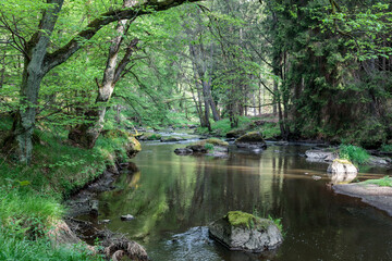 schöner Idyllischer Flusslauf, Waldnaabtal, Blockhütte