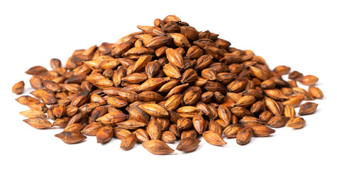 small pile of Barley Tea, isolated on white background