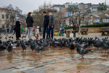 Izmir Turkey; Pigeons in Konak Square. Street photography. 20 March 2021 