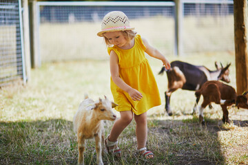 Adorable toddler girl in yellow dress and straw hat playing with goats at farm