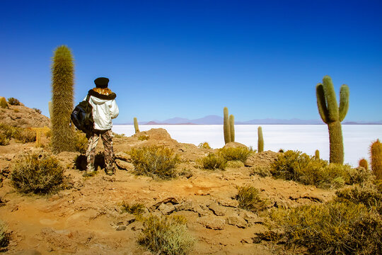 Paysage Salar de Uyuni d&eacute;sert de sel blanc en altitude Sud Lipez cordill&egrave;re des Andes Bolivie