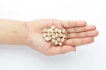 Macro Close-up of Organic chhole chana or Kabuli chana (Cicer arietinum) or whole white Bengal gram dal on the palm of a Female hand. Top view