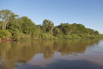 On the Rio Sao Lourenco in the Pantanal, Mato Grosso, Brazil