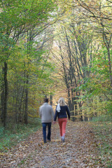 Forest in autumn in Denmark