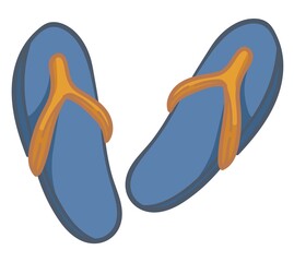 Flip flops summer shoes for beach or pool vector