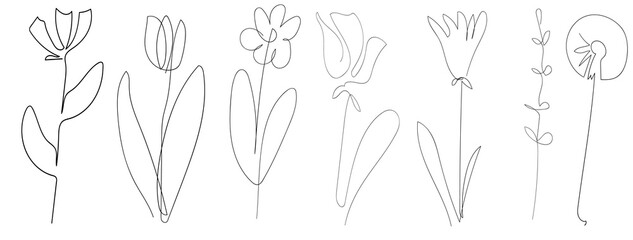vector single one line drawn set of flowers.  flower handdrawing outline illustration isolated on white background. Botanical