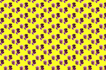 Pattern from a orchids of pink and purple.