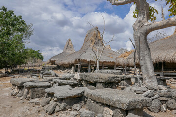Traditional houses on stilts with thatched roofs with megalithic tombs in Prai Liang village, Sumba...