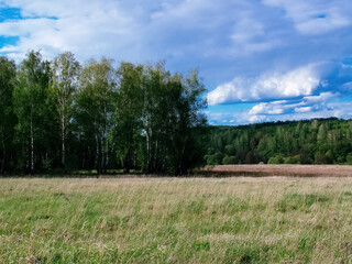 Fototapeta premium blue cloudy spring skies in the countryside
