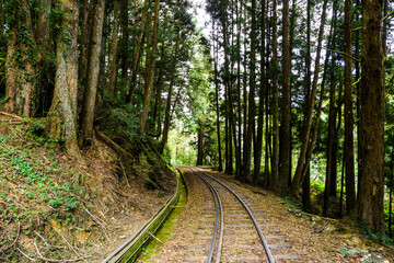 Fototapeta premium The Forest Railway passes through the Alishan Forest Recreation Area in Chiayi, Taiwan.