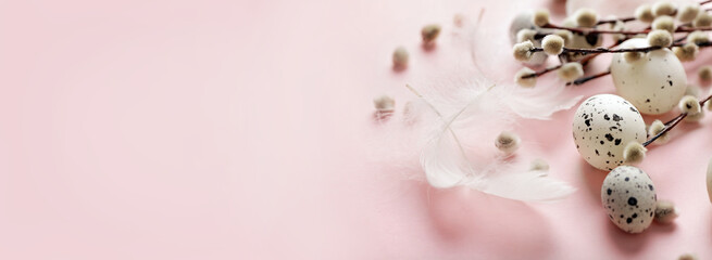 easter background with quail eggs and willow branches on pink background. horizontal banner background