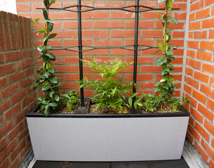 Greening a balcony with planters for climate adaptation
