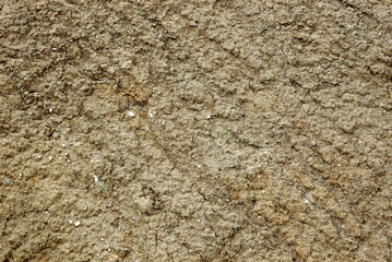 Granular texture of sand in heterogeneous layers.