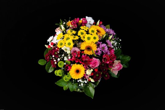 Die 1 068 Besten Bilder Stock Fotos Und Vektorgrafiken Zu Geburtstagsstrauss Adobe Stock