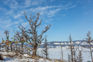 Fototapeta na wymiar Buddhist prayer flags hanging on the tree, Lake Baikal