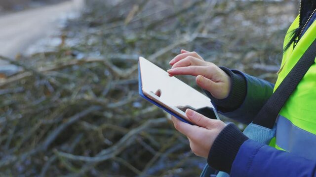  Woman engineer uses tablet near felled branches