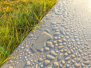 fresh rain drops on a walking path at a public park
