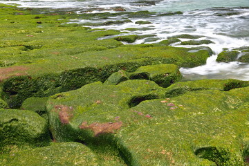 Laomei Green Reef, volcanic rocks with seasonal algae in Shimen District, New Taipei City, Taiwan
