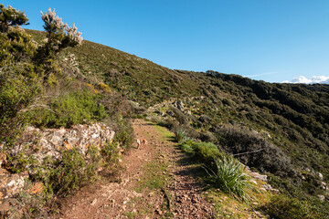 Sentiero tra montagna e mare nei pressi di Nebida, Iglesias, Sardegna, Italia  