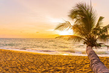 Beautiful tropical beach sea ocean around coconut palm tree - 422496534
