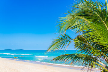 Naklejka na ściany i meble Beautiful tropical beach sea ocean with coconut palm tree