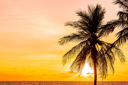 Beautiful tropical beach sea ocean around coconut palm tree