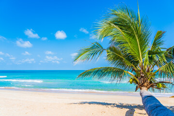 Beautiful tropical beach sea ocean with coconut palm tree