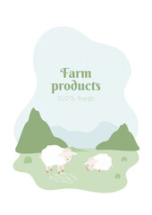 Sheeps walks on field. Lamb sleeps on the grass. Landscape with green hills and abstract flowers. Textured sky shapes and text. Farm products branding concept. Cute animal, vector illustration