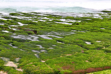 Laomei Green Reef, volcanic rocks with seasonal algae in Shimen District, New Taipei City, Taiwan