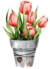 Red tulips in a pot. Watercolor illustration of spring flowers. Great for postcards, stickers, and more.