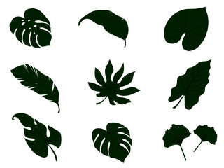 Set leaves plant green color for nature and on white background, Hand drawn vector.