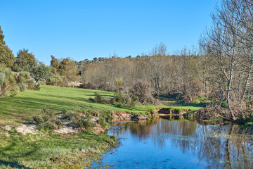 Stream crossing the field in early spring