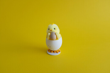 Happy and funny easter chicken in a eggshell with copy space on yellow background.