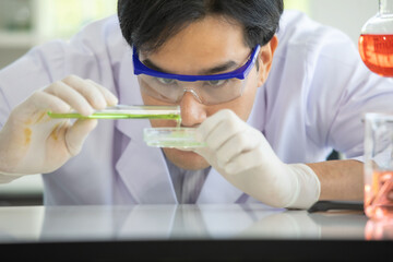 Asian man scientist or researcher with glasses is using auto-pipette droping a sample on the glass slide for microscope in medical laboratory. Concept Medical researcher.