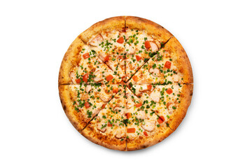 big tasty pizza on a white background