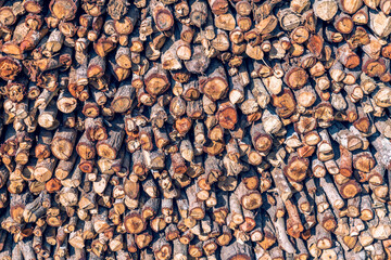 Villagers' firewood stacked together in rural Thailand.