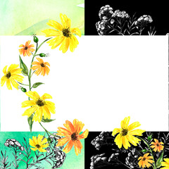 Watercolor card, postcard fromgreen, green, black, white abstract spot. plant immortelle, tansy, wild herbs. Calendula flower, chamomile, daisy. Splash, bright streaks of paint. Vintage postcard