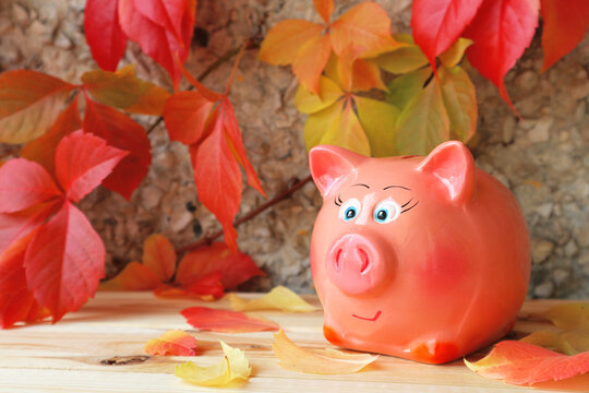 Pink piggy bank on a background of red autumn leaves.