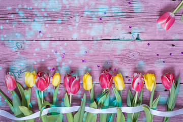 Tulips on a wooden pink background in bokeh. Floral background.