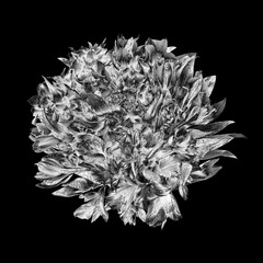 Silver flowers round bouquet dark black background isolated close up, beautiful black white flower bunch, shiny gray metal leaves, floral branch, decorative pattern, design element, vintage decoration