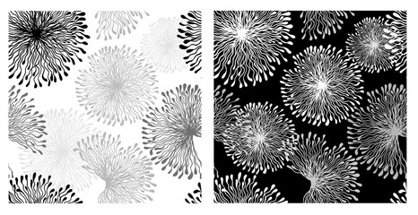 Monochrome background seamless texture of beautiful flowers. Dark and light background. Vector illustration