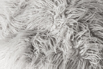 Obraz premium White long haired sheepskin close-up background