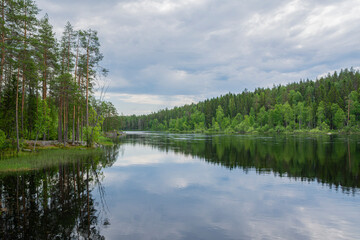 Fototapeta na wymiar View of the Neitikoski Rapids, part of Ruunaa Rapids, Lieksa, Finland