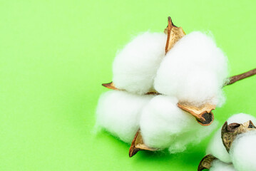 Cotton bolls on green background