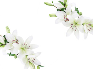 ユリの花 フレーム 背景画像