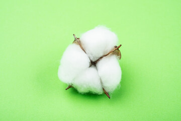 Cotton bolls on green background