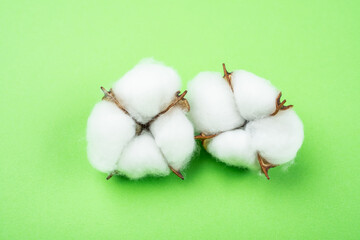 Cotton bolls on green background
