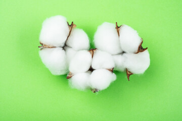 Cotton bolls on green background