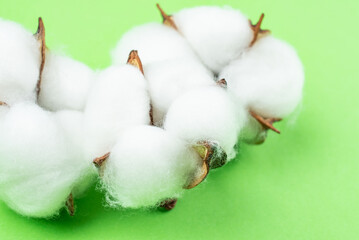 Cotton bolls on green background