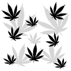 Marijuana vector cannabis leaf weed background icon logo symbol